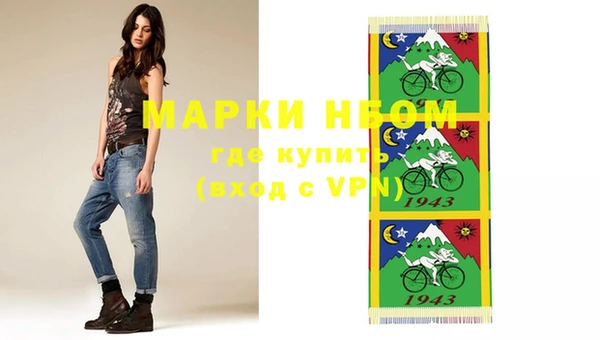 шишки Володарск