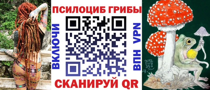 наркота  kraken маркетплейс  Псилоцибиновые грибы Cubensis  Павловская 