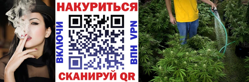 Конопля план Павловская